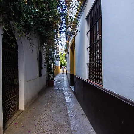 Boutique Vida Apartamento Sevilla
